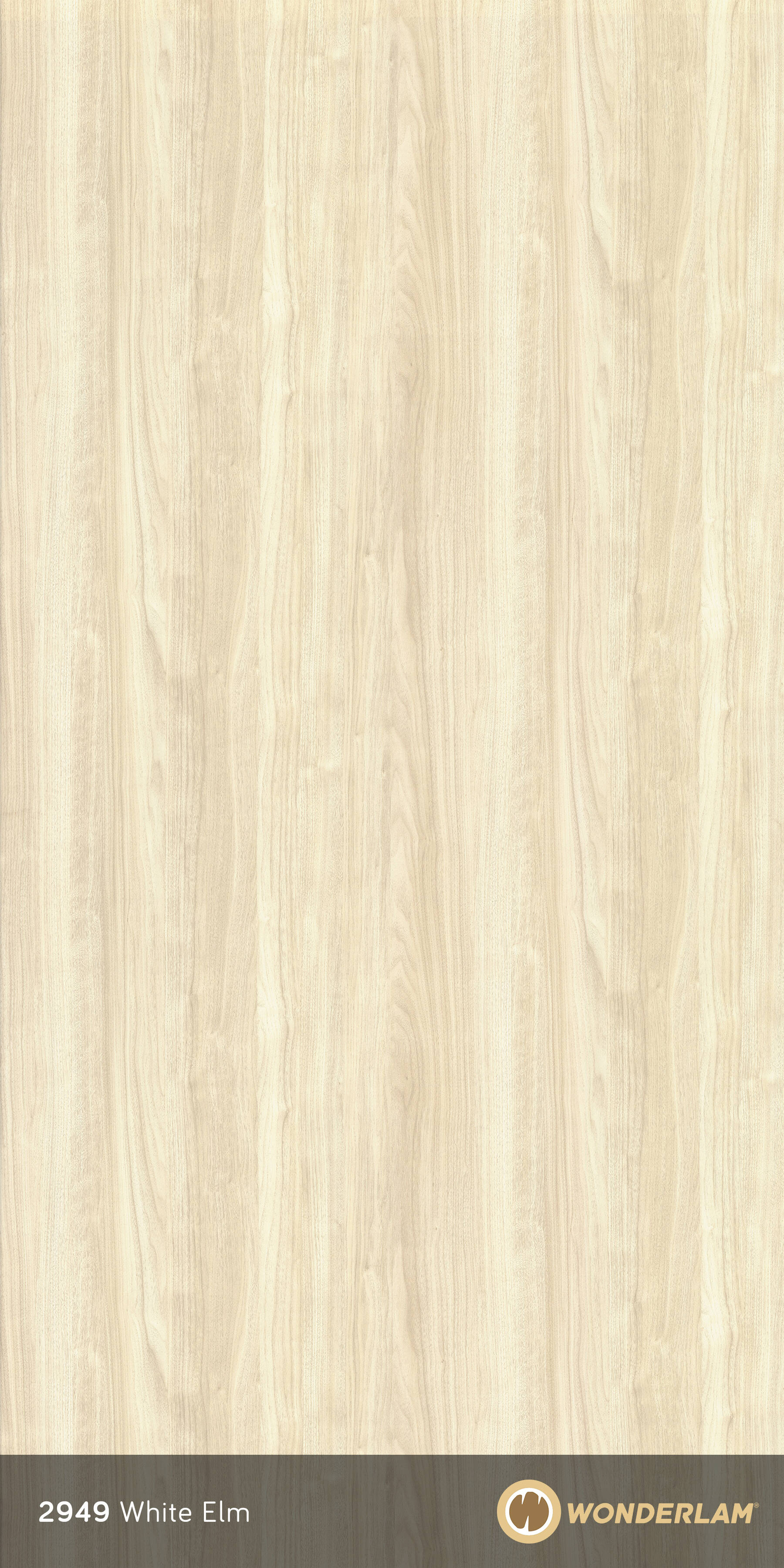 White Elm full sheet