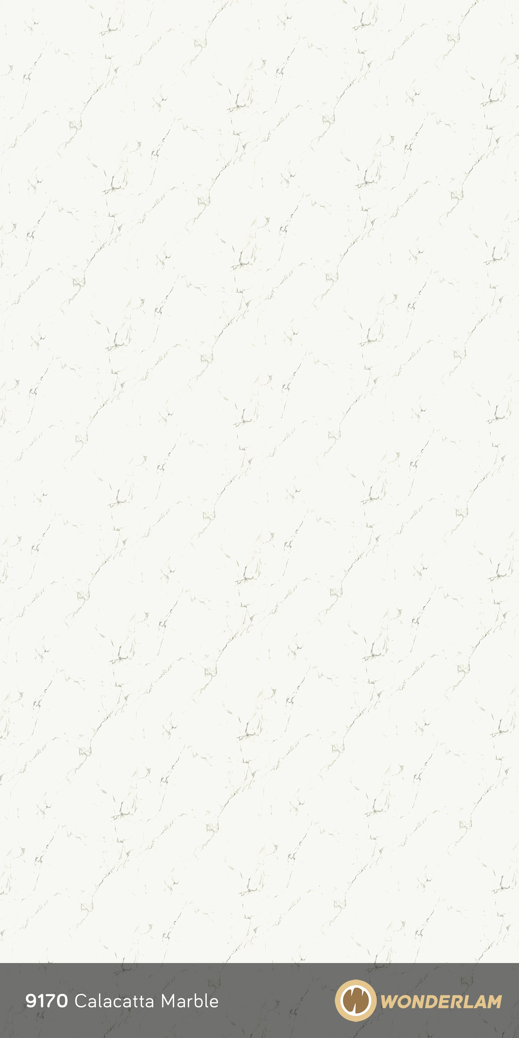 Calacatta Marble full sheet