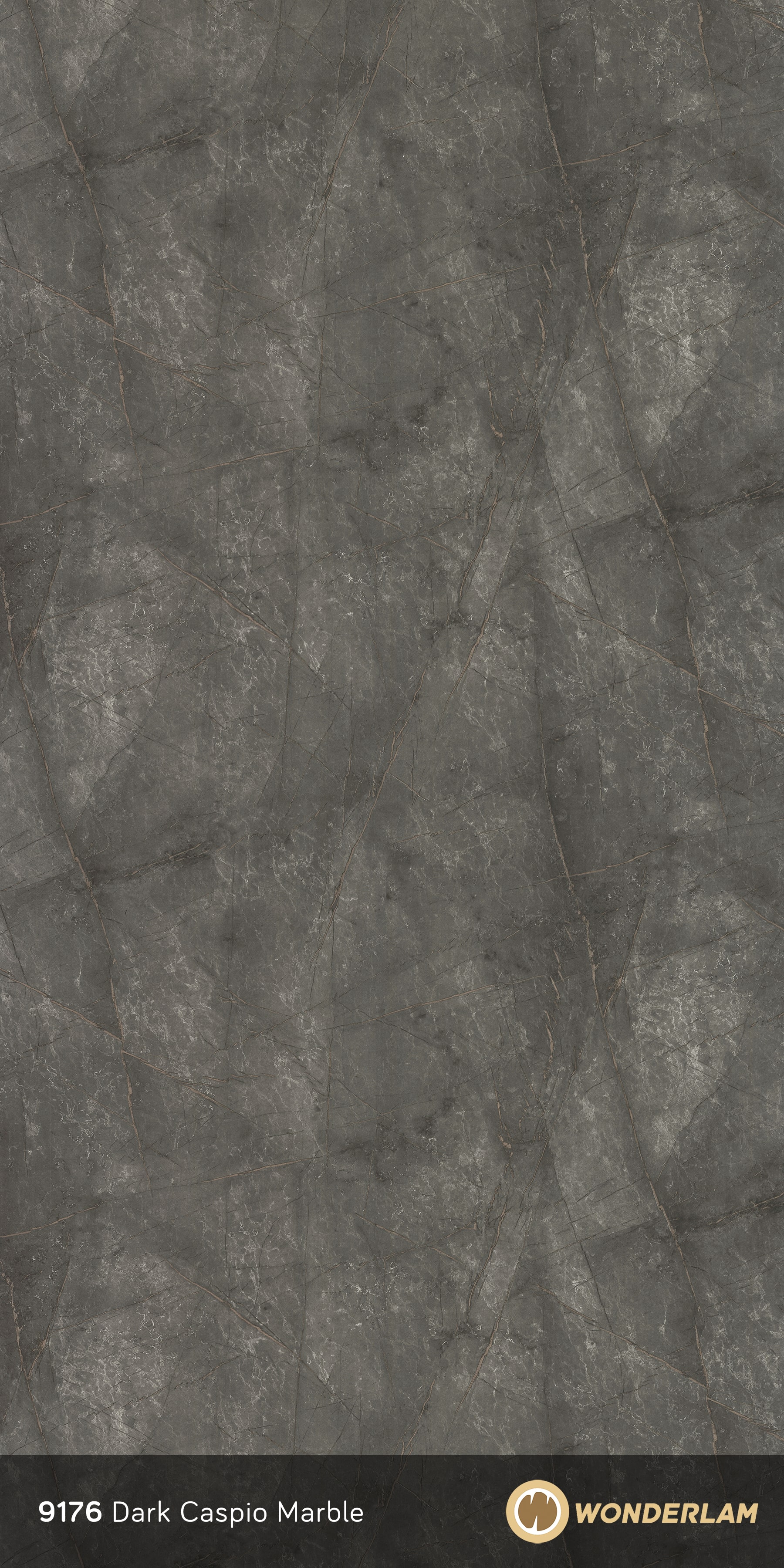 Dark Caspio Marble full sheet
