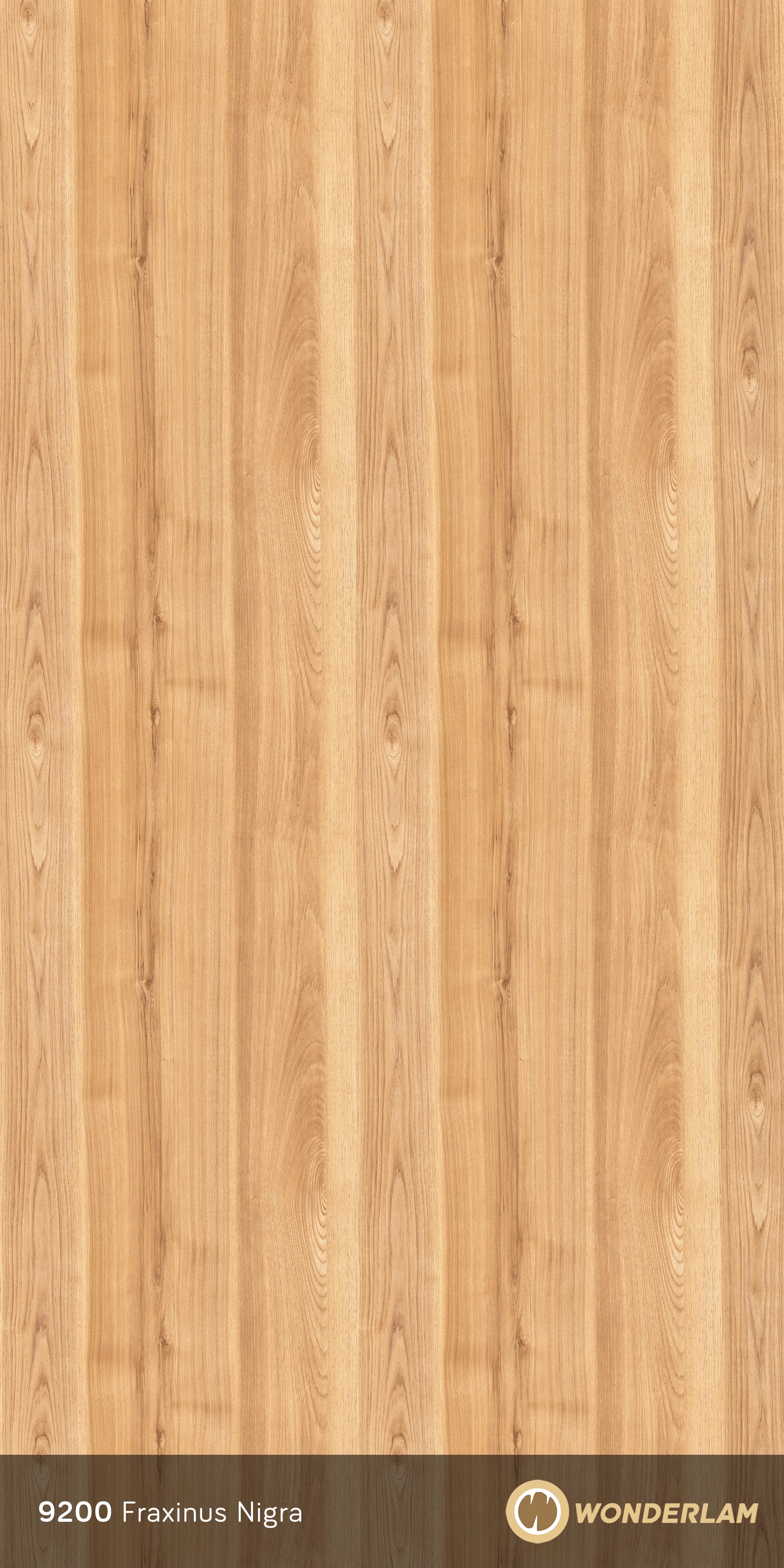 Fraxinus Nigra full sheet