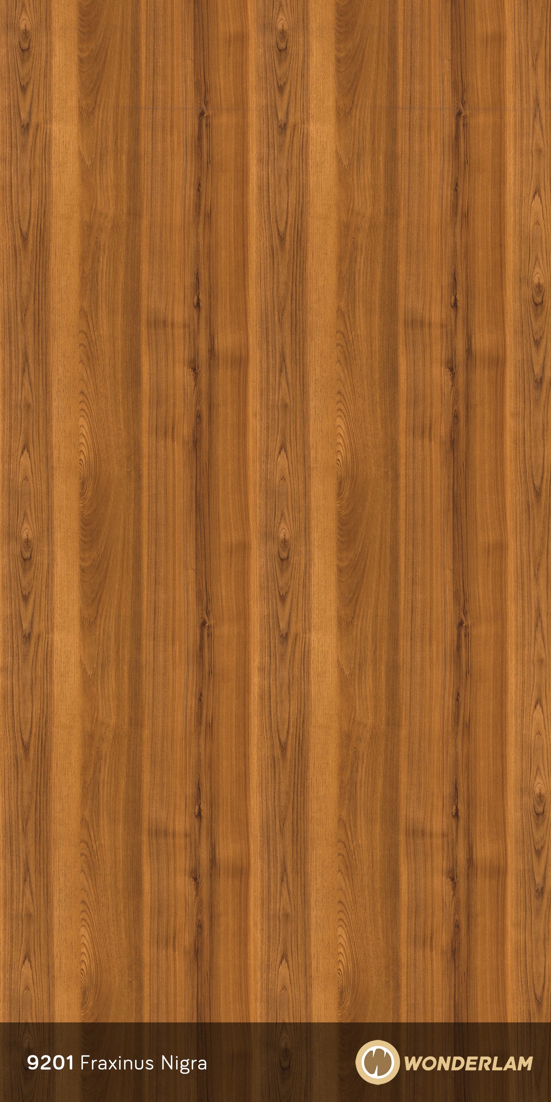 Fraxinus Nigra full sheet