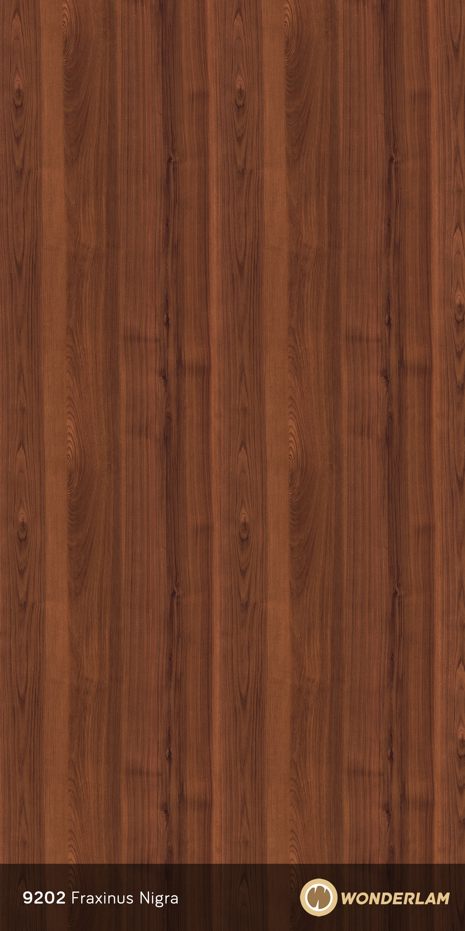 Fraxinus Nigra full sheet