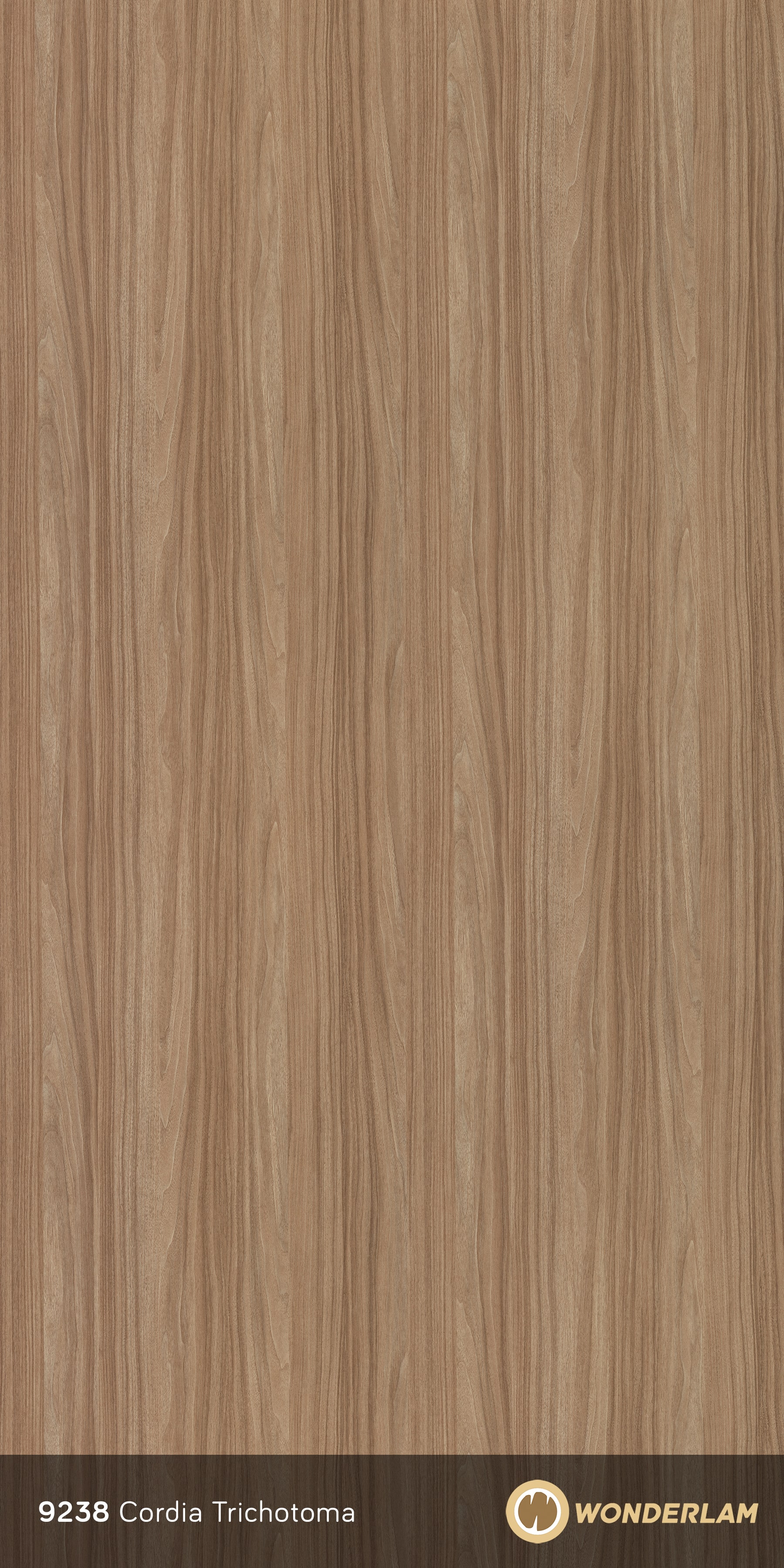 Cordia Trichotoma full sheet