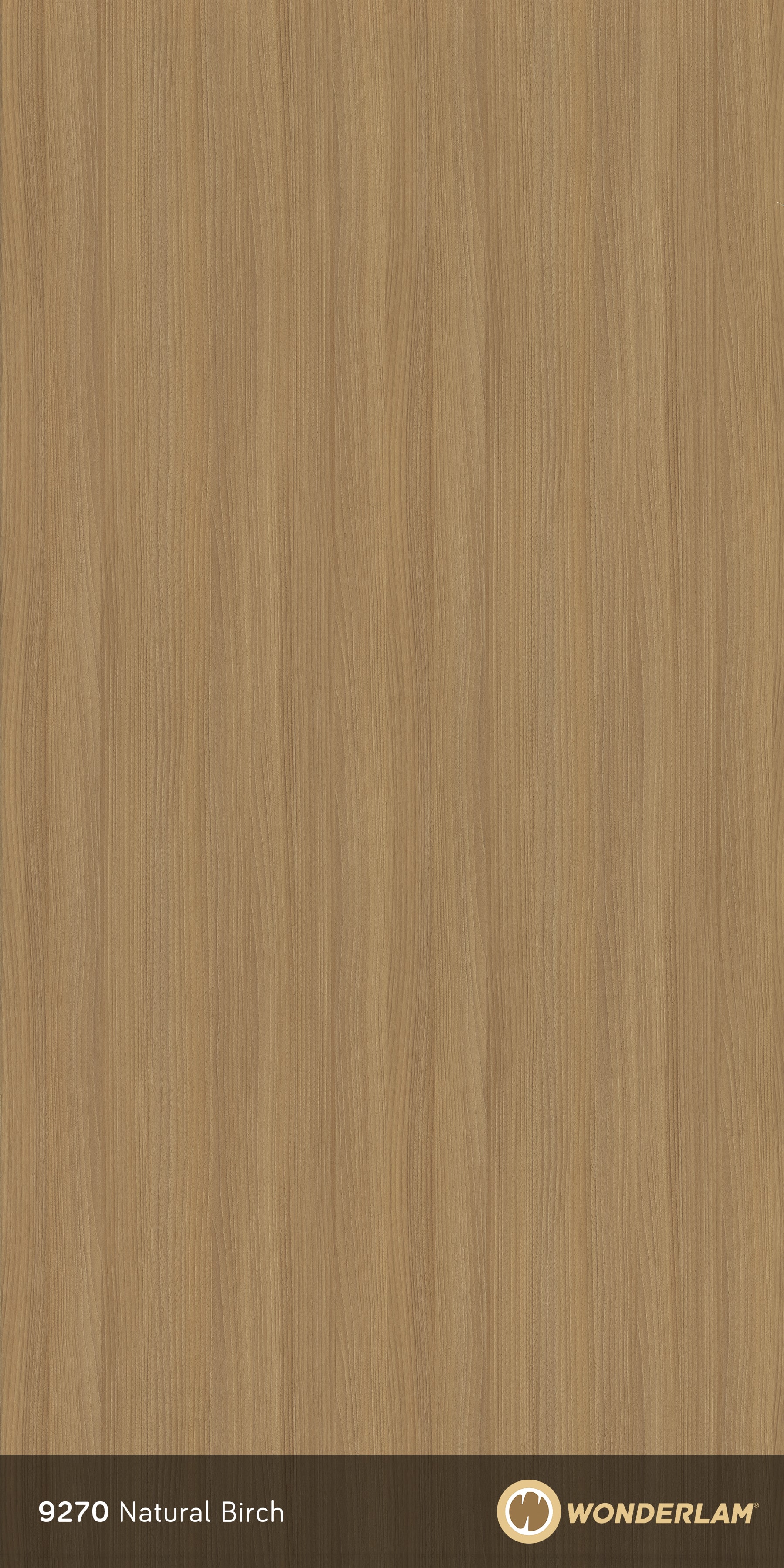 Natural Birch full sheet